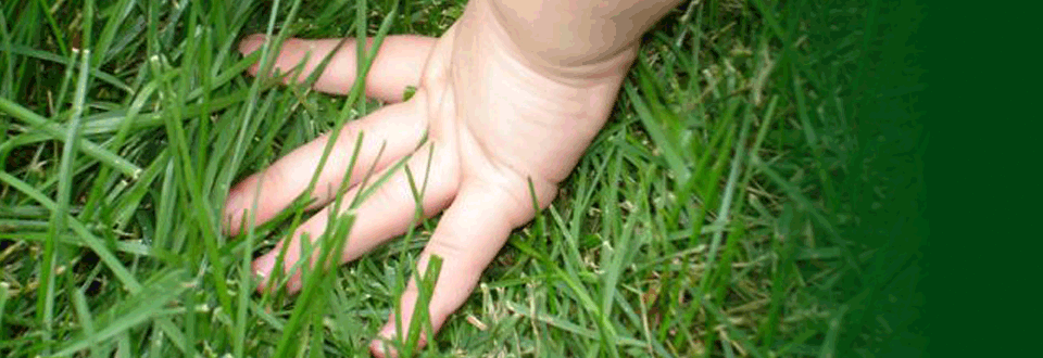 Organic Lawn Care